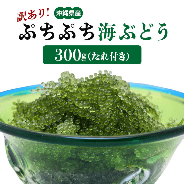 【ふるさと納税】ぷちぷち海ぶどう 300g 訳あり 沖縄県 海ぶどう 海ブドウ ウミブドウ 沖縄 大人気 特産物 お土産 健康 栄養 美容 美肌 ダイエット ミネラル マグネシウム カルシウム 鉄分 タレ付き おつまみ うみぶどう 海藻 グリーンキャビア 送料無料