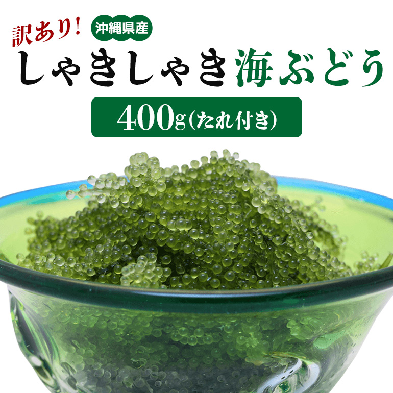 【ふるさと納税】しゃきしゃき海ぶどう 400g 訳あり 沖縄県 海ぶどう 海ブドウ ウミブドウ 沖縄 大人気 特産物 お土産 健康 栄養 美容 美肌 ダイエット ミネラル マグネシウム カルシウム 鉄分 タレ付き おつまみ うみぶどう 海藻 グリーンキャビア 送料無料
