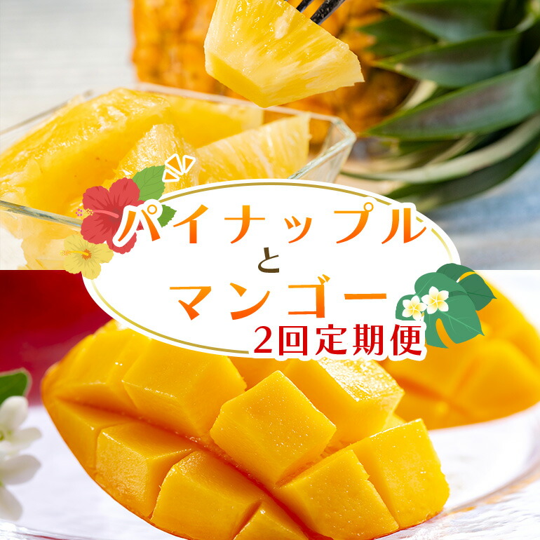 【ふるさと納税】 フルーツ定期便 2回【定期便全2回】フルーツ定期便 2回  パイナップル Nパイン マンゴー 沖縄 夏 フルーツ 甘味 美味しい 定期便