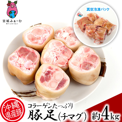 超目玉 12月 コラーゲンたっぷり沖縄県産豚の豚足 チマグ 4kg 焼足毛処理済 Fucoa Cl