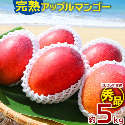 【ふるさと納税】【2026年発送】大ボリューム完熟アップルマンゴー秀品・約5kg農園から直送! 秀品 先行予約 沖縄 甘味 糖度 濃厚 美味しい お土産 おいしい ギフト とろける甘さ 香り アーウィン 果汁 高級 箱入り 化粧箱入り 見た目 きれい 綺麗