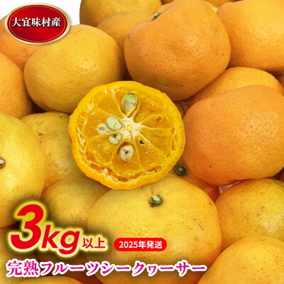 完熟フルーツシークヮーサー 3Kg
