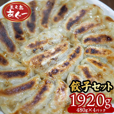 【ふるさと納税】【美ら島あぐー】　餃子セット　1920ｇ 【480g×4パック】 あぐー もっちり 沖縄 大宜味村 豚肉 小分け 国産 おつまみ こだわり ぶた アグー 加工品 おいしい 美味しい 取り寄せ 肉 豚 冷凍 まろやか 旨味