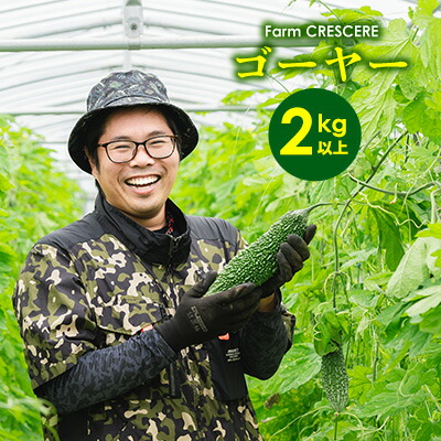 【ふるさと納税】【Farm CRESCERE】ゴーヤー2kg以上 沖縄 大宜味村 ゴーヤー ごーやー チャンプルー 野菜 ふるさと納税 送料無料 沖縄料理 おかず サラダ アレンジ料理 ご当地 郷土料理 ちゃんぷるー 常温 プレゼント 食べ物 2kg