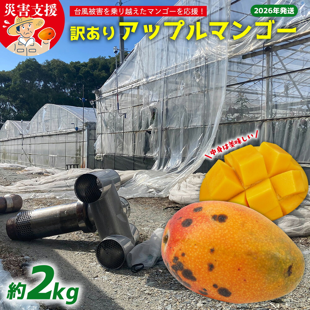 【ふるさと納税】【台風被害支援】訳あり アップルマンゴー約2kg（3～5玉）【2026年発送】 家庭用 台風 沖縄 甘味 糖度 濃厚 美味しい 被害 おいしい お得 とろける甘さ 香り アーウィン 果汁 コスパ 箱入り 手頃 普段使い 自分用 ご褒美｜沖縄県大宜味村