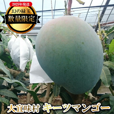 【ふるさと納税】【2025年発送】大宜味村キーツマンゴー2kg以上【数量限定】 数量限定 先行予約 沖縄 甘味 糖度 濃厚 おいしい お土産 まんごー キーツ 果物 くだもの 果実 送料無料 ふるさと納税 ２キロ トロピカル 化粧箱入り 食べ物 フルーツ