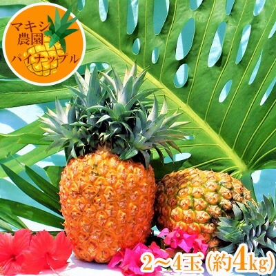 楽天市場 ふるさと納税 21年発送 マキシ農園パイナップルセット 沖縄県大宜味村