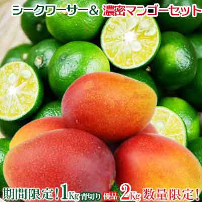 最適な材料 ふるさと納税 数量限定 青切シークワーサー1kg 濃密マンゴー 優品 2kg 2021年発送 公式 Lexusoman Com