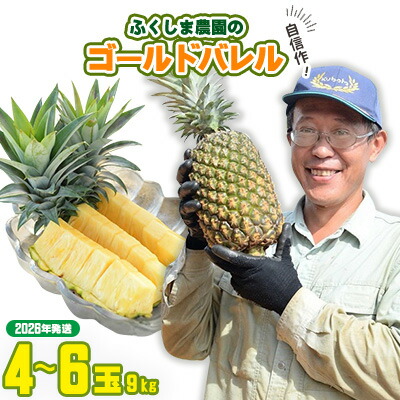 【ふるさと納税】ゴールドバレル【パインアップル】(4~6玉)約9kg ふくしま農園の自信作!◆2026年発送◆ ゴールドバレル パイナップル 高品質 新鮮 ジューシー 希少 高い糖度 大玉 甘い トロピカル パイン 生産量日本一 高級フルーツ 南国フルーツ 国産フルーツ 完熟 福島