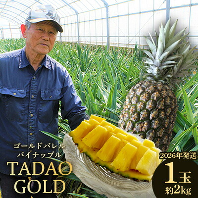 【ふるさと納税】TADAO GOLD　1玉　約2kg（多冠芽含む）【ゴールドバレル】2026年発送 ゴールドバレル パインアップル タダオゴールド たまき ただお 逸品 パイン職人 最高級 国産パイン パイナップル パイン 匠 高級フルーツ 南国フルーツ 特別 希少 玉城忠男 農家直送