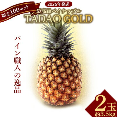 【ふるさと納税】【贈答用：限定100セット】TADAO GOLD【ゴールドバレル】（2玉） ゴールドバレル タダオゴールド ただおごーるど 希少 最高級 沖縄県 東村 パインアップル 贈答用 贈り物 パイン 入手困難 高級フルーツ 玉城忠男 トロピカル 糖度 甘い パイナップル 26,000円