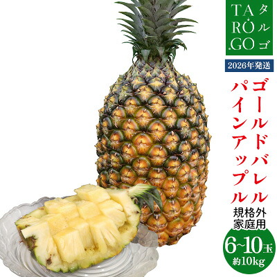 【ふるさと納税】【規格外・家庭用】TARUGO　ゴールドバレルパイン　約10kg（6～10玉）2026年発送 家庭用 パイン パインアップル パイナップル タルゴ タルゴゴールド ゴールドバレル 葉ナシ ご自宅用 訳あり 国産パイン 規格外 生産者応援 農家応援 高級フルーツ 大玉 国産｜沖縄県東村