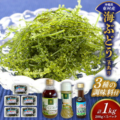【ふるさと納税】美ら海 沖縄県産 海ぶどうセット／茎あり1kg（200g×5パック）＆調味料３種セット 海ブドウ 海ぶどう うみぶどう パック 茎なし ポン酢 ドレッシング たれ付き クビレズタ 海鮮 海藻 プチプチ おつまみ 沖縄料理 ご当地 特産品 グルメ 常温 沖縄県 東村