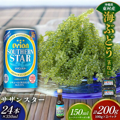 【ふるさと納税】東村を楽しむセット！海ぶどうセット（茎無）200g＆オリオンサザンスター350ml&times;24本 海ブドウ 海ぶどう うみぶどう パック 茎なし クビレズタ たれ付き 海鮮 海藻 プチプチ おつまみ オリオン orion ビール オリオンビール 1ケース 酒 常温 沖縄県 東村｜沖縄県東村