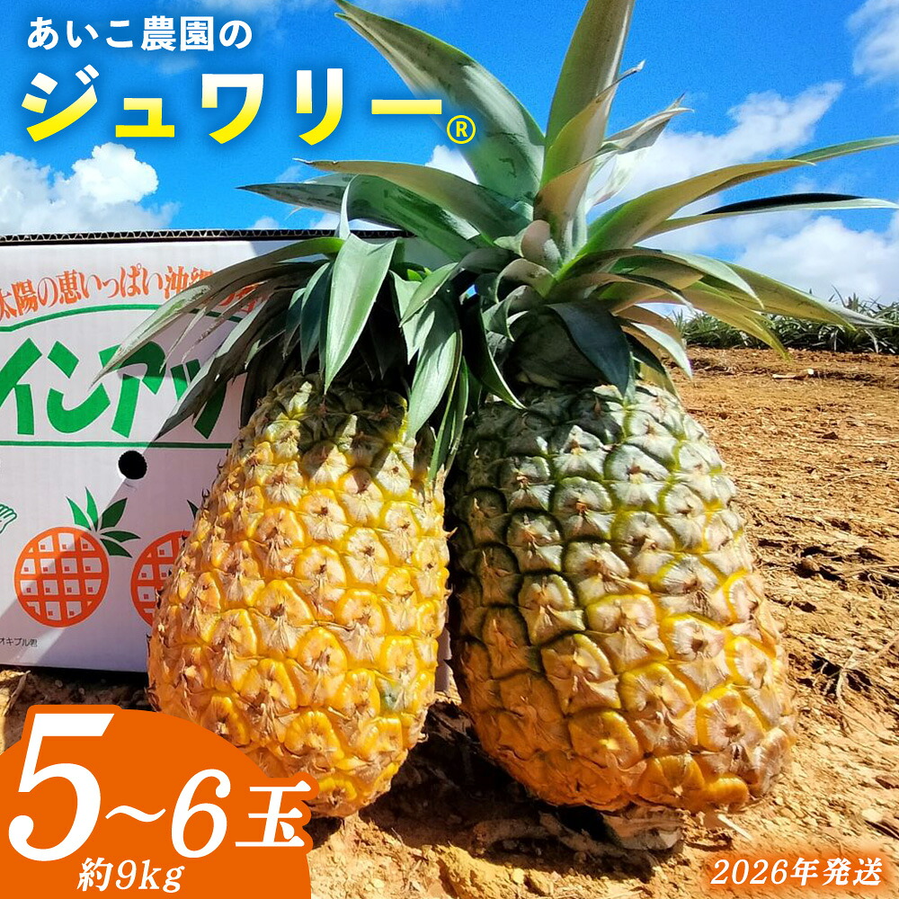 【ふるさと納税】あいこ農園のジュワリー　5～6玉（約9kg） 2026年発送 沖縄県産 東村 パイナップル ジューシー 希少 高級フルーツ 南国フルーツ 国産フルーツ 農家直送 パイン 果物 贈り物 おすすめ お土産 人気 やんばる 大自然 南国気分 沖縄本島北部