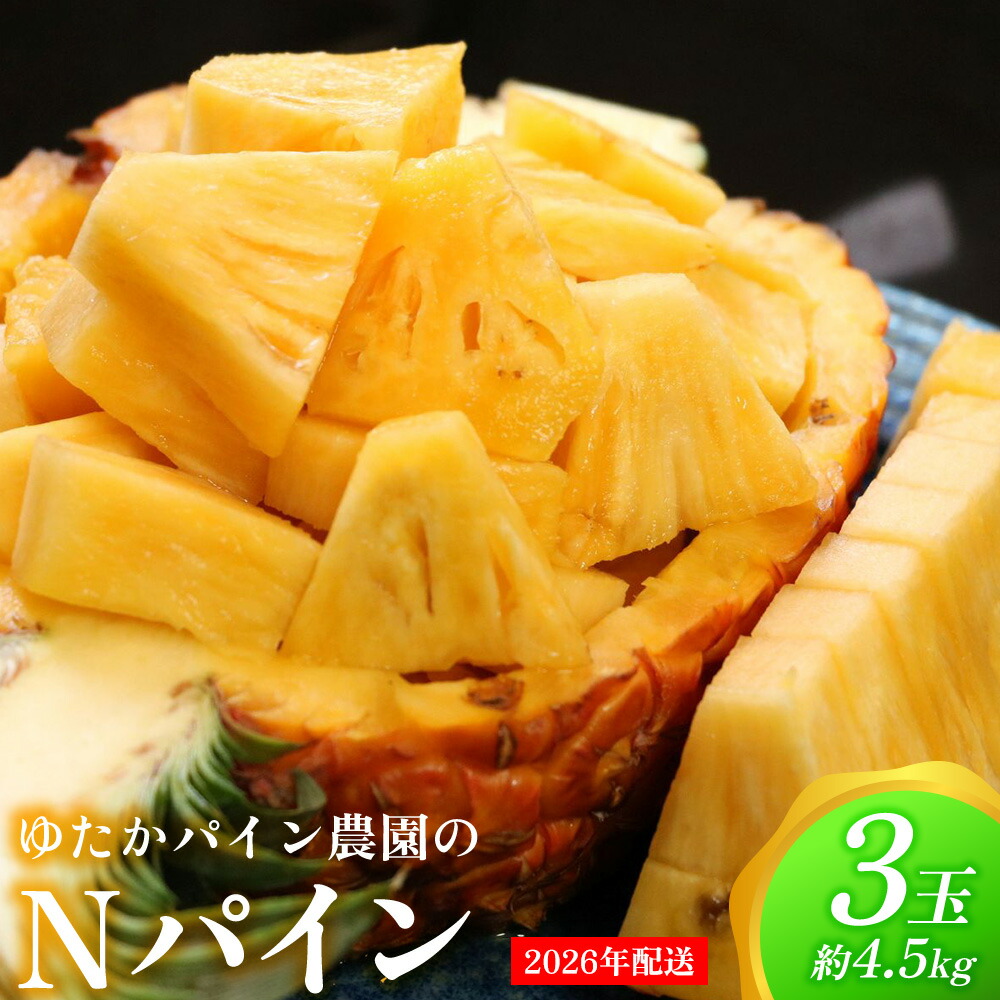 【ふるさと納税】ゆたかパイン農園のNパイン　3玉（約4.5kg） 2026年発送 沖縄県産 東村 パイナップル ジューシー 希少 高級フルーツ 南国フルーツ 国産フルーツ 農家直送 パイン 果物 贈り物 おすすめ お土産 人気 やんばる 大自然 南国気分 沖縄本島北部 11,840円