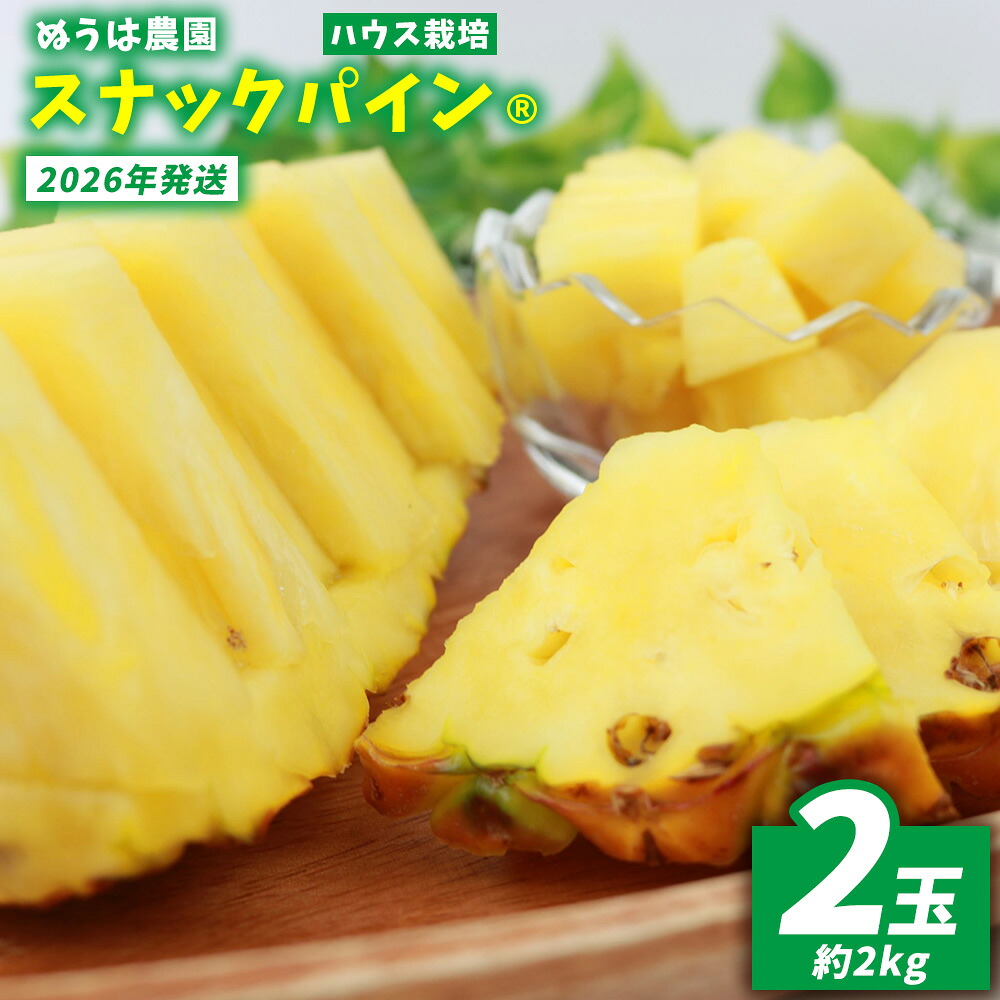 【ふるさと納税】ハウス栽培　スナックパイン　２玉（約2kg） 2026年発送 沖縄県産 東村 パイナップル ジューシー 希少 高級フルーツ 南国フルーツ 国産フルーツ 農家直送 パイン 果物 贈り物 おすすめ お土産 人気 やんばる 大自然 南国気分 沖縄本島北部