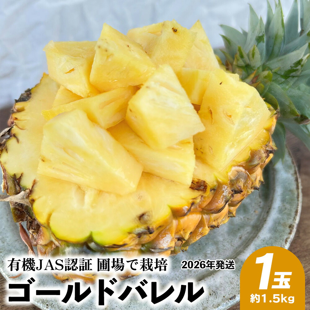 【ふるさと納税】有機JAS認証圃場で栽培　ゴールドバレル　1玉（約1.5kg） 2026年発送 沖縄県産 東村 パイナップル ジューシー 希少 高級フルーツ 南国フルーツ 国産フルーツ 農家直送 パイン 果物 贈り物 おすすめ お土産 人気 やんばる 大自然 南国気分 沖縄本島北部