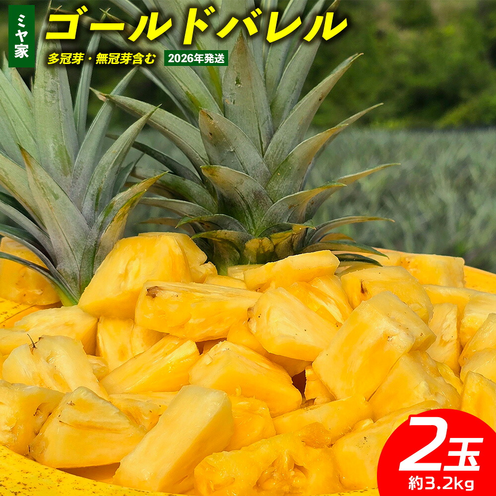 【ふるさと納税】ミヤ家　ゴールドバレル　2玉（約3.2kg）多冠芽・無冠芽含む 2026年発送 沖縄県産 東村 パイナップル ジューシー 希少 高級フルーツ 南国フルーツ 国産フルーツ 農家直送 パイン ゴールドバレル 贈り物 おすすめ お土産 人気 やんばる 大自然 南国気分