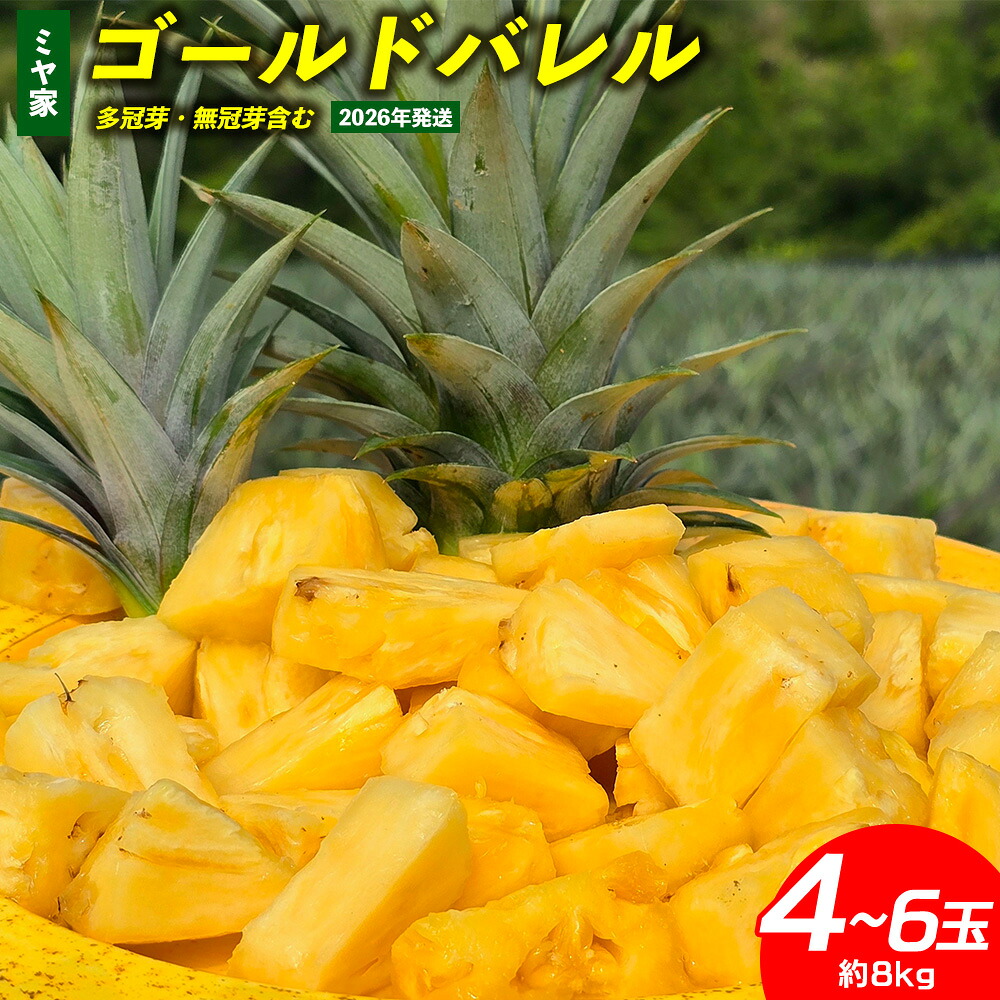 【ふるさと納税】ミヤ家　ゴールドバレル　4～6玉（約8kg）多冠芽・無冠芽含む 2026年発送 沖縄県産 東村 パイナップル ジューシー 希少 高級フルーツ 南国フルーツ 国産フルーツ 農家直送 パイン ゴールドバレル 贈り物 おすすめ お土産 人気 やんばる 大自然 南国気分