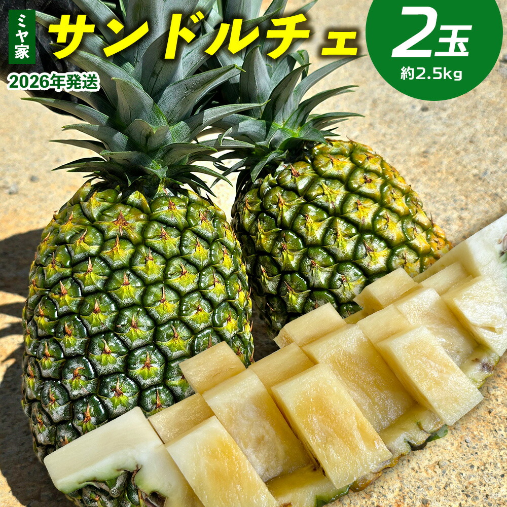 プーマ社製1989年トヨタカップモデル アトレティコ ナシオナル メデジン プーマ社製1989年トヨタカップモデル アトレティコ ナシオナル メデジン