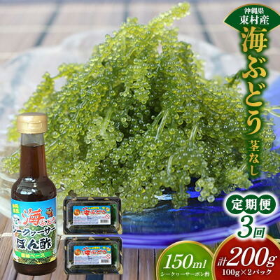 【ふるさと納税】【定期便:3回】美ら海 沖縄県産 海ぶどうセット/茎なし200g(100g×2パック)ポン酢付 海ブドウ 海ぶどう うみぶどう パック 茎なし クビレズタ たれ付き 海鮮 海藻 プチプチ おつまみ 沖縄料理 ご当地 特産品 グルメ 人気 居酒屋 常温 沖縄県 東村