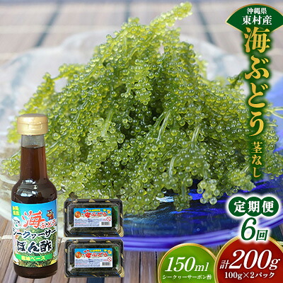【ふるさと納税】【定期便：6回】美ら海 沖縄県産 海ぶどうセット／茎なし200g（100g×2パック）ポン酢付 海ブドウ 海ぶどう うみぶどう パック 茎なし クビレズタ たれ付き 海鮮 海藻 プチプチ おつまみ 沖縄料理 ご当地 特産品 グルメ 人気 居酒屋 常温 沖縄県 東村 48,000円