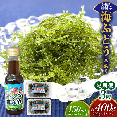 【ふるさと納税】【定期便：3回】美ら海 沖縄県産 海ぶどうセット／茎あり400g（200g×2パック）ポン酢付 海ブドウ 海ぶどう うみぶどう パック 茎なし クビレズタ たれ付き 海鮮 海藻 プチプチ おつまみ 沖縄料理 ご当地 特産品 グルメ 人気 居酒屋 常温 沖縄県 東村