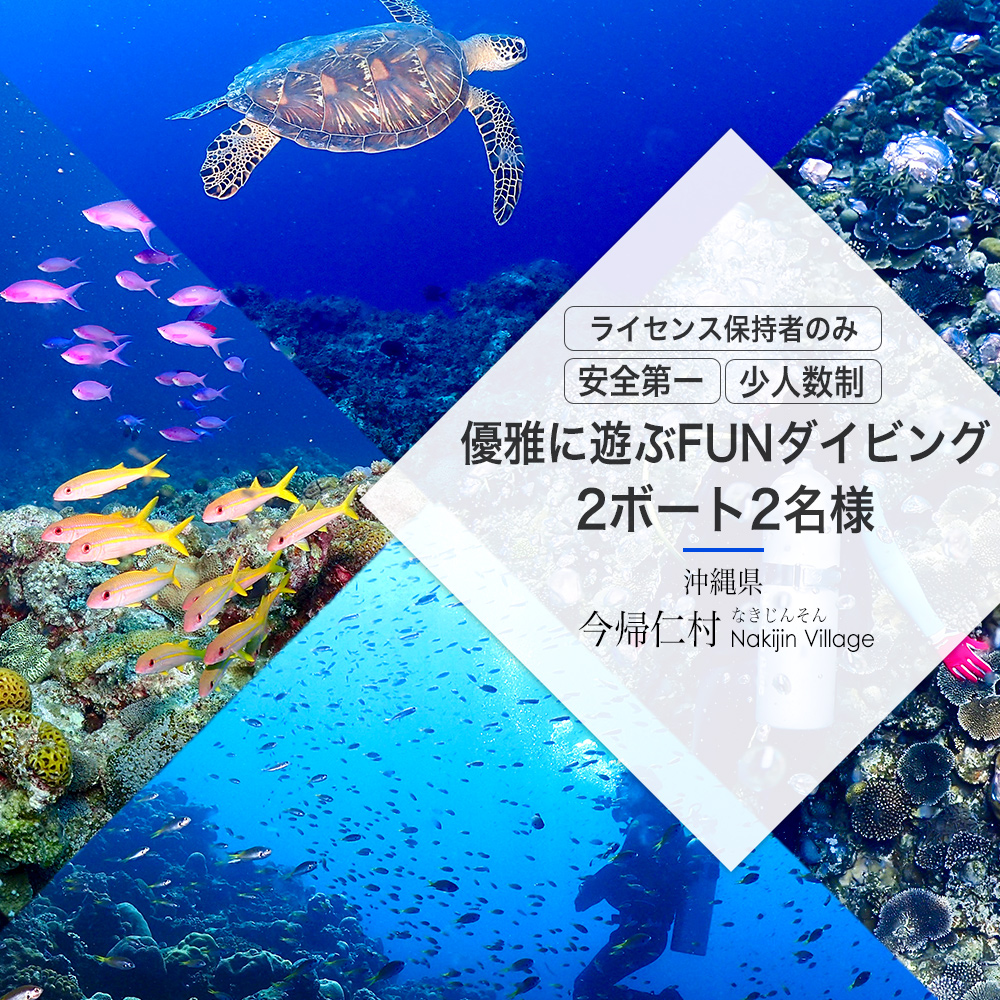 好評 優雅に遊ぶfunダイビング 2ボート2名様 ライセンス保持者のみ 沖縄県今帰仁村w 全国宅配無料 Www Lapressemagazine Fr