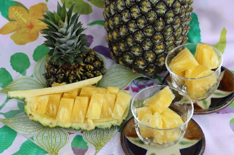 輝く高品質な 先行予約21年5月 8月発送 今帰仁産 パインアップル おまかせセット パイン 沖縄県今帰仁村 人気ショップが最安値挑戦 Sicemingenieros Com