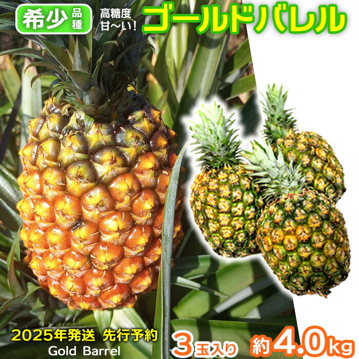 【ふるさと納税】【2025年発送】　先行予約　ゴールドバレル　約4.0kg　3玉入り パイナップル 甘い ジューシー デザート 高級 フルーツ 家族で楽しめる 子供 果物 取り寄せ 旬 おすすめ ギフト 人気 家庭用 贈答用 母の日 スナックパイン 期間限定 パイン 沖縄