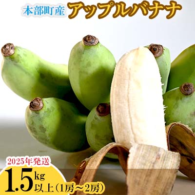 【ふるさと納税】【2025年発送】本部町産アップルバナナ　1.5kg以上 南国 沖縄 おきなわ 果実 フルーツ 青果 期間限定 先行予約 数量限定 旬 人気 おすすめ 贈答 プレゼント ギフト 贈り物 カクテル デザート 取り寄せ 高級