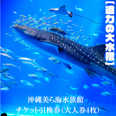 楽天市場】【ふるさと納税】沖縄美ら海水族館オリジナル