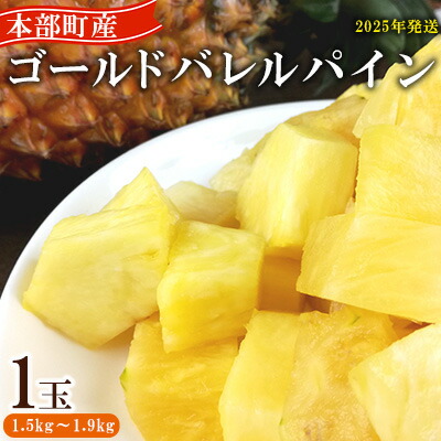 【ふるさと納税】【2025年発送】　先行予約　かりゆしゴールド　1玉　1.5kg～1.9kg パイナップル スナックパイン デザート フルーツ 家族 子供 果物 取り寄せ 旬 おすすめ ギフト 人気 家庭用 贈答用 母の日 期間限定 パイン 沖縄 ジューシー 南国