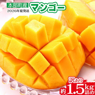 本部町産マンゴー 訳あり 1 5kg詰め 沖縄県本部町 マンゴー ふるさと納税 フルーツ 果物 21年夏発送