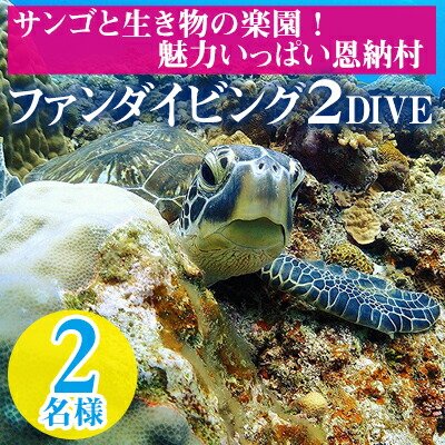 残りわずか サンゴと生き物の楽園 魅力いっぱい恩納村ファンダイビング ２dive 2名様 沖縄県恩納村 期間限定特価 Madah Kemdikbud Go Id