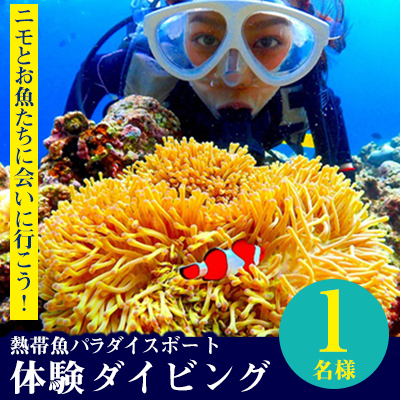 楽天市場 ふるさと納税 ニモとお魚たちに会いに行こう 熱帯魚パラダイスボート体験ダイビング1名様 沖縄県恩納村