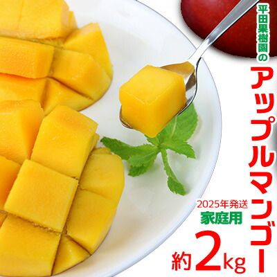 【ふるさと納税】【2025年発送】平田果樹園のアップルマンゴー家庭用（約2kg） アーウィン 果物 甘い 夏 濃厚 ギフト Mango ランキング 完熟 お気に入り 美味しい 人気 おすすめ フルーツ 沖縄県 先行予約 食品 人気 産地直送 送料無料