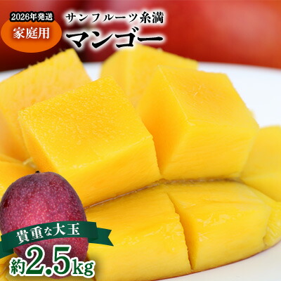 【ふるさと納税】【2026年発送】サンフルーツ糸満マンゴー貴重な大玉 家庭用　約2.5kg 産地直送 先行予約 フルーツ 果物 くだもの アップルマンゴー アップル アーウィン種 濃厚 デザート 贅沢 旬の果物 甘い おすすめ プレゼント 贈答 冷蔵 国産 沖縄 沖縄県産