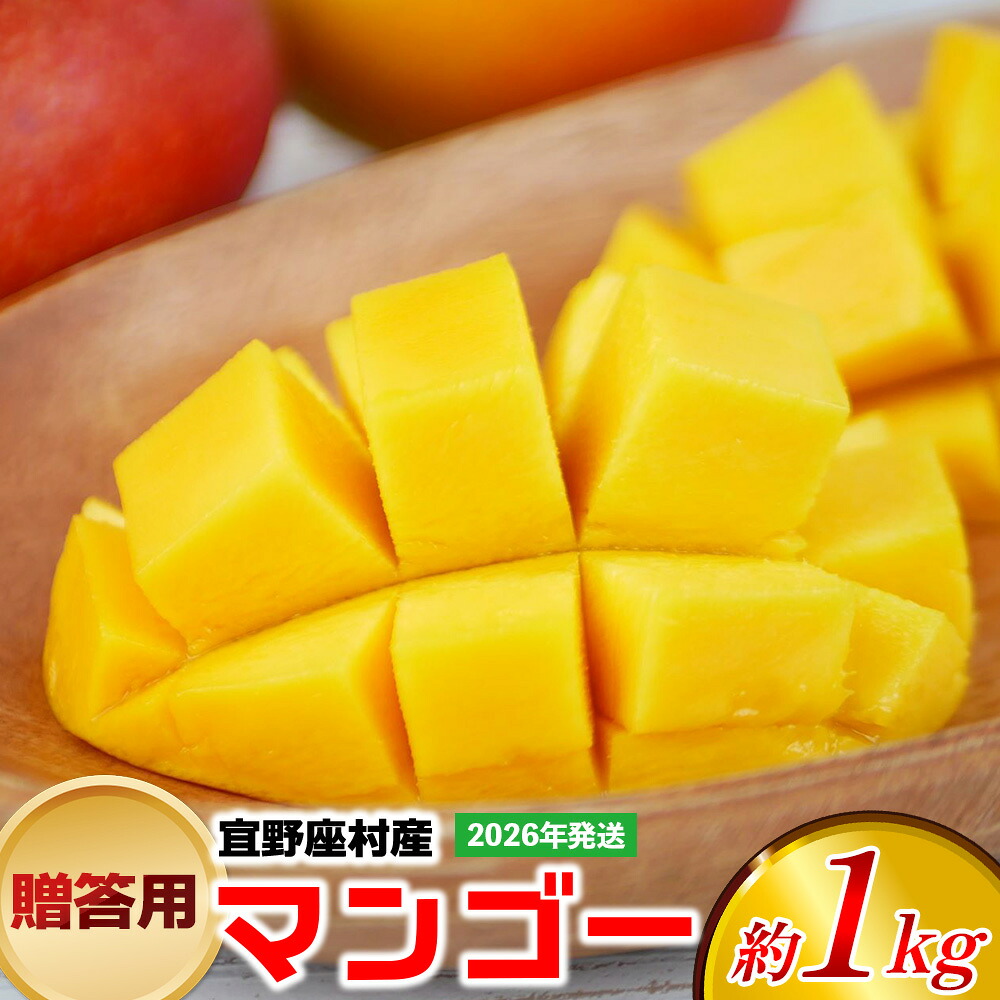 【ふるさと納税】【2026年発送】贈答用マンゴー 約1kg【宜野座村産】 沖縄 南国 先行予約 期間限定 マンゴー 果物 くだもの フルーツ 果実 家庭用 自宅用 濃厚 甘い 芳醇 夏