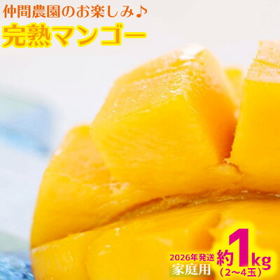 【ふるさと納税】【2026年発送】仲間農園のお楽しみ(家庭用)完熟マンゴー約1kg(2~4玉) アーウィン 果物 甘い 夏 濃厚 ギフト Mango ランキング 完熟 お気に入り 収穫 人気 甘味 フルーツ 沖縄県 先行予約 食品 デザート 産地直送 送料無料