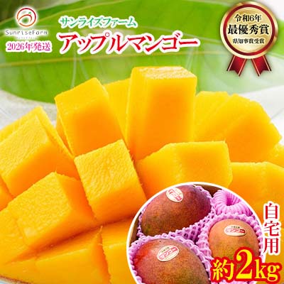 【ふるさと納税】【2026年発送】サンライズファームのご自宅用マンゴー約2kg(4～6玉) アーウィン 果物 甘い 夏 濃厚 ギフト Mango ランキング 完熟 お気に入り 収穫 人気 甘味 フルーツ 沖縄県 国産 食品 デザート 産地直送 宜野座村