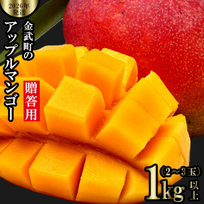 摘果マンゴー　10kg【農家直送】 楽天市場】【ふるさと納税】【2026年発送】農家さん直送