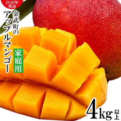 沖縄県産農家直送アップルマンゴー2kg 2026年発送】農家さん直送！アップルマンゴー2kg以上 家庭用