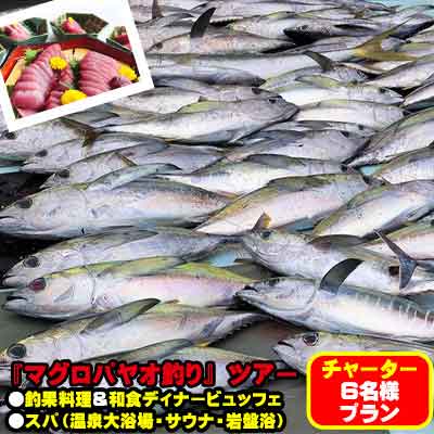 ふるさと納税 ふるさと納税 その他 マグロ釣りパヤオツアーと釣果料理 和食ディナービュッフェ スパ利用券付 マグロ釣りパヤオツアーと釣果料理 和食ディナービュッフェ スパ利用券付 カタログギフト チケット 6名様プラン