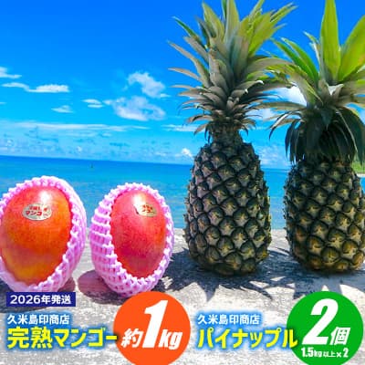 【ふるさと納税】【2026年発送】久米島印商店 完熟マンゴー約1kg&パイナップル（Ｎ67-10）2個（1.5kg以上×2） マンゴー パイナップル セット 甘い 酸味 バランス 人気 贈り物 ギフト フルーツ 果物 デザート スムージー ジュース アイス ヨーグルト ジャム 南国 沖縄 久米島