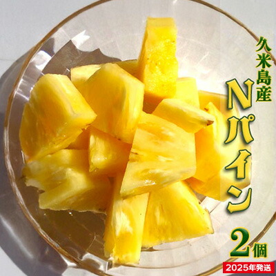 【ふるさと納税】【2025年発送】久米島印商店 パイナップル（ハワイ種Ｎ67-10）2個（1.5kg以上×2） パイナップル パイン ハワイ種 Nパイン ハワイ スムースカイエン 酸味 甘み バランス 人気 ジューシー 芳醇 フルーツ 果物 デザート ヨーグルト サラダ ジャム ジュース