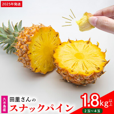 【ふるさと納税】【2025年発送】田里さんの久米島産スナックパイン 1.8kg以上 パイナップル 果物 フルーツ 果実 果汁 ジューシー ボゴール 手でちぎる 手軽 甘い 酸味 果肉 太陽 トロピカル ジュース デザート ジャム スムージー 沖縄 南国