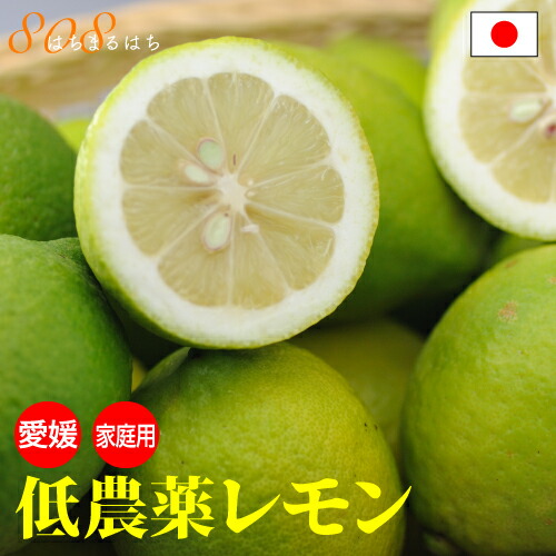 10月分予約 低農薬 国産 レモン 10kg 訳あり 愛媛 瀬戸内 大三島 れもん 檸檬 家庭用 国産 防腐剤不使用 フルーツ 果物 祝い 内祝い お中元 母の日 父の日 敬老の日 お歳暮 御歳暮  ※ ふるさと納税 ではありません SSS