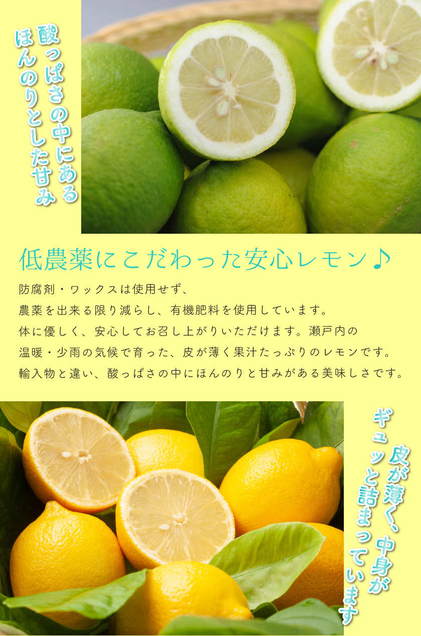 肌触りがいい 無農薬レモン 5kg 愛媛県産 accueillir-kurashiki.com